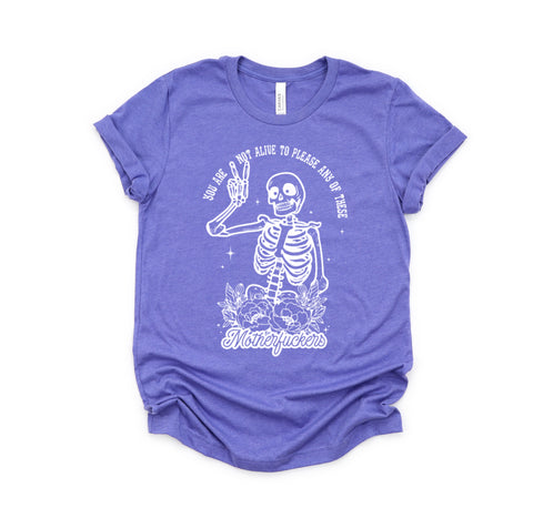 Ready To Ship - You Are Not Allowed To Please Any Of These Mother Fuckers Adult Unisex Bella Canvas Heather Lapis Tee